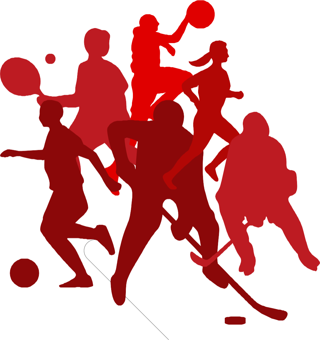 Sports Mania